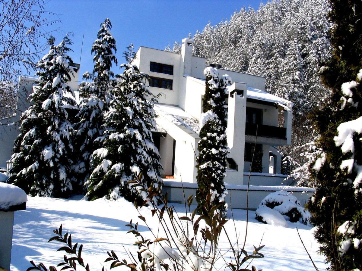 Мечтаната Селска Къща На Реката Със Семейство И Приятели! Ribarica Exterior photo