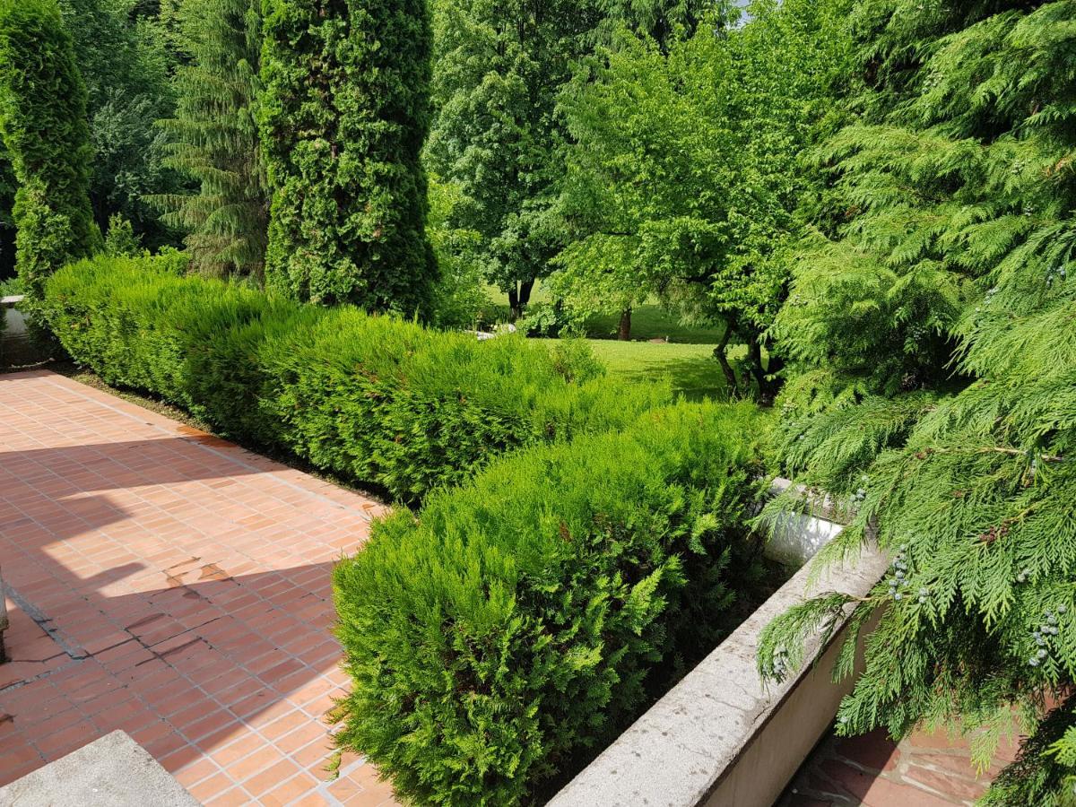 Мечтаната Селска Къща На Реката Със Семейство И Приятели! Ribarica Exterior photo